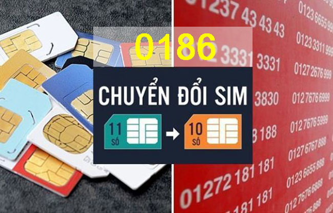 Card image top