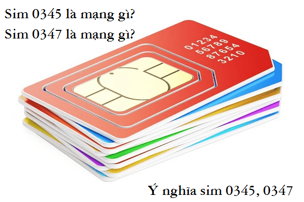 Card image top