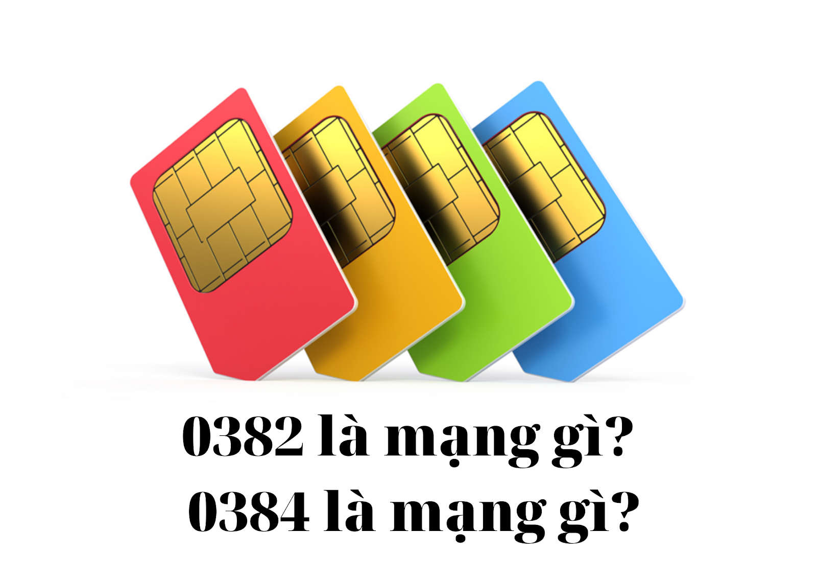 Card image top
