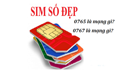 Card image top