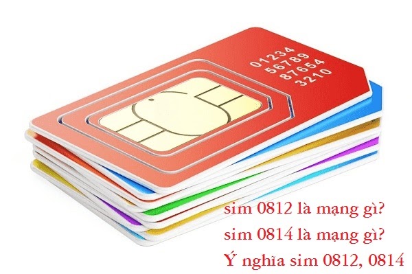 Card image top