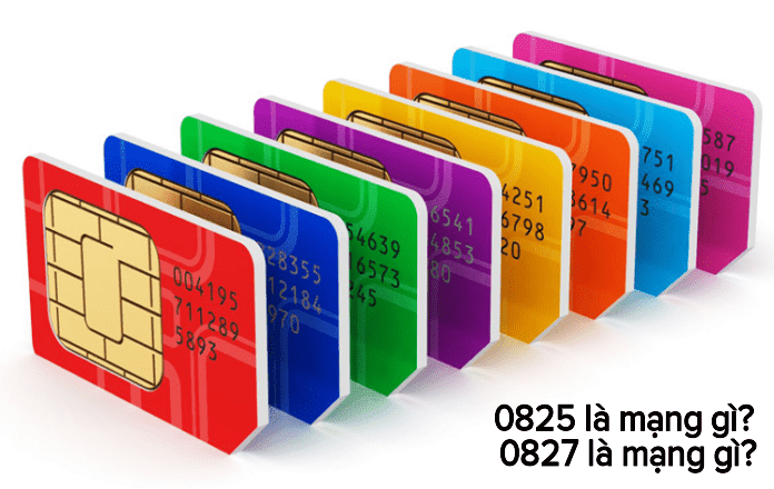 Card image top