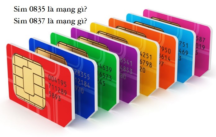 Card image top