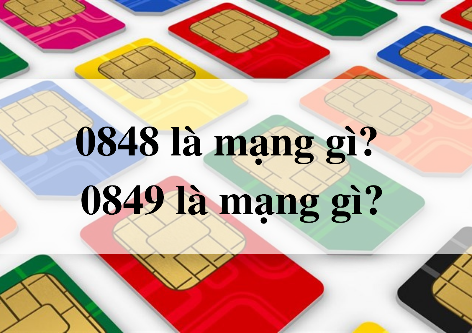 Card image top