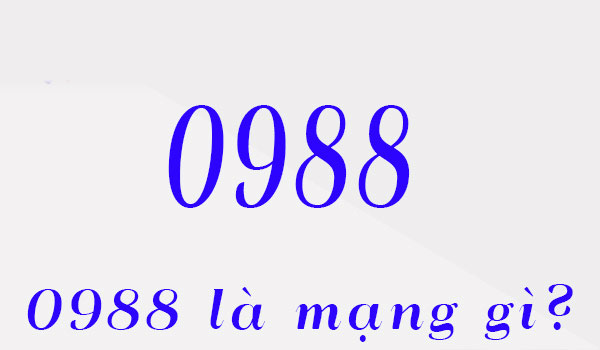 Card image top