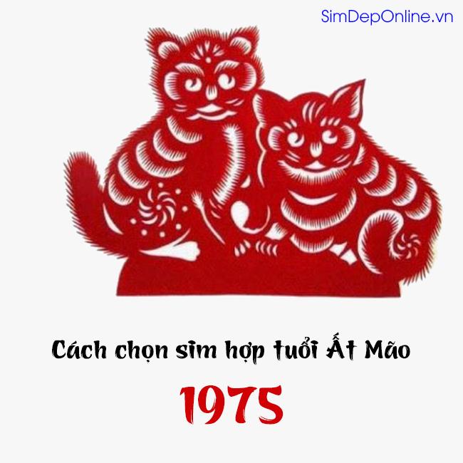 Card image top