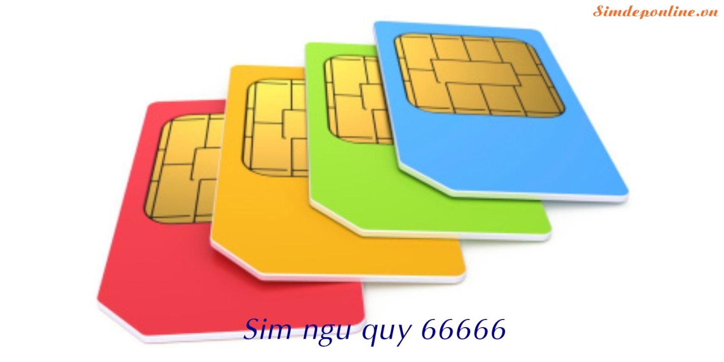 Card image top