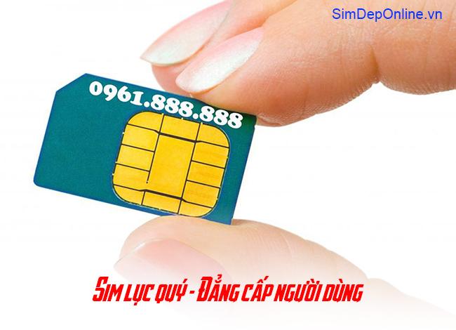 Card image top
