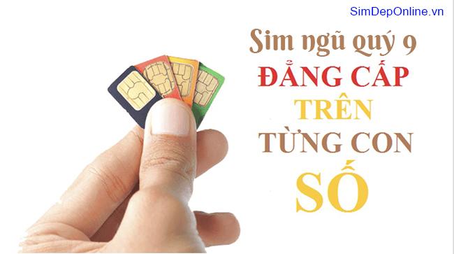 Card image top