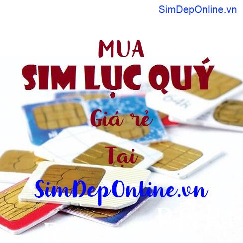 Card image top