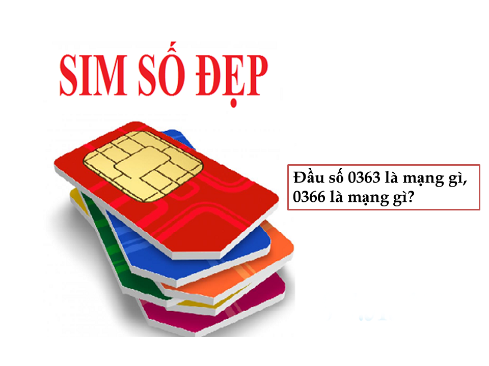Card image top