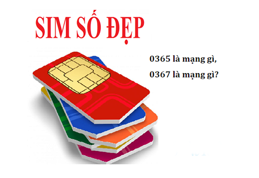 Card image top
