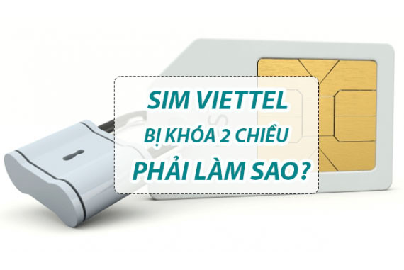 Card image top
