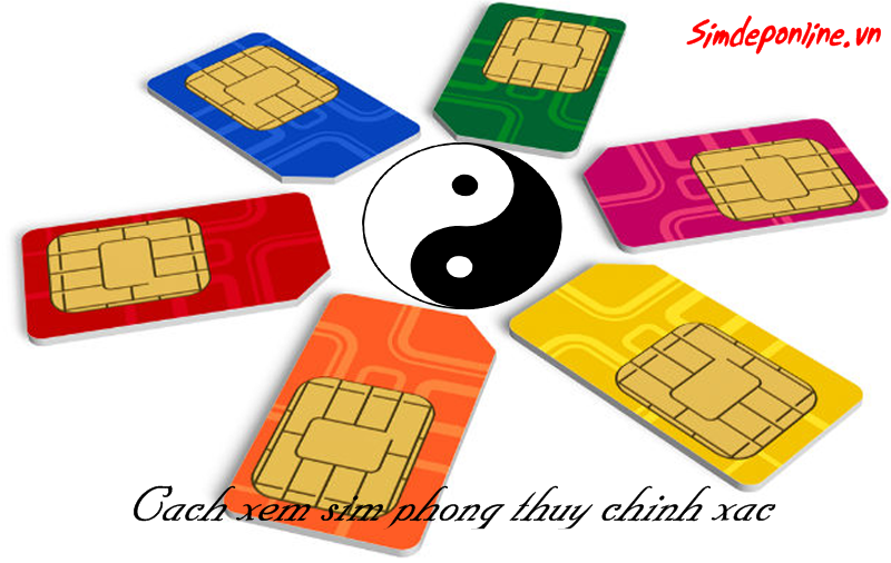 Card image top