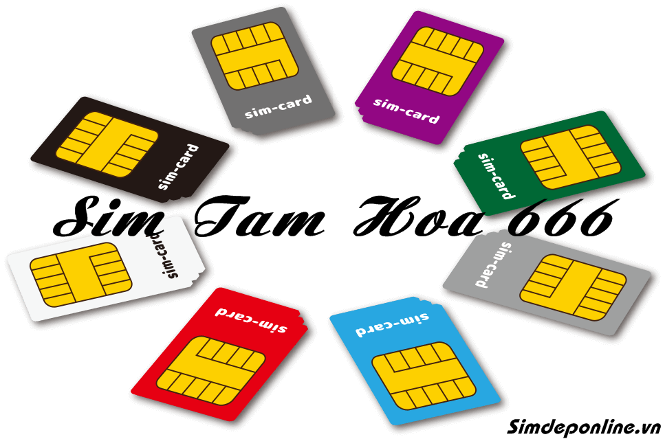 Card image top