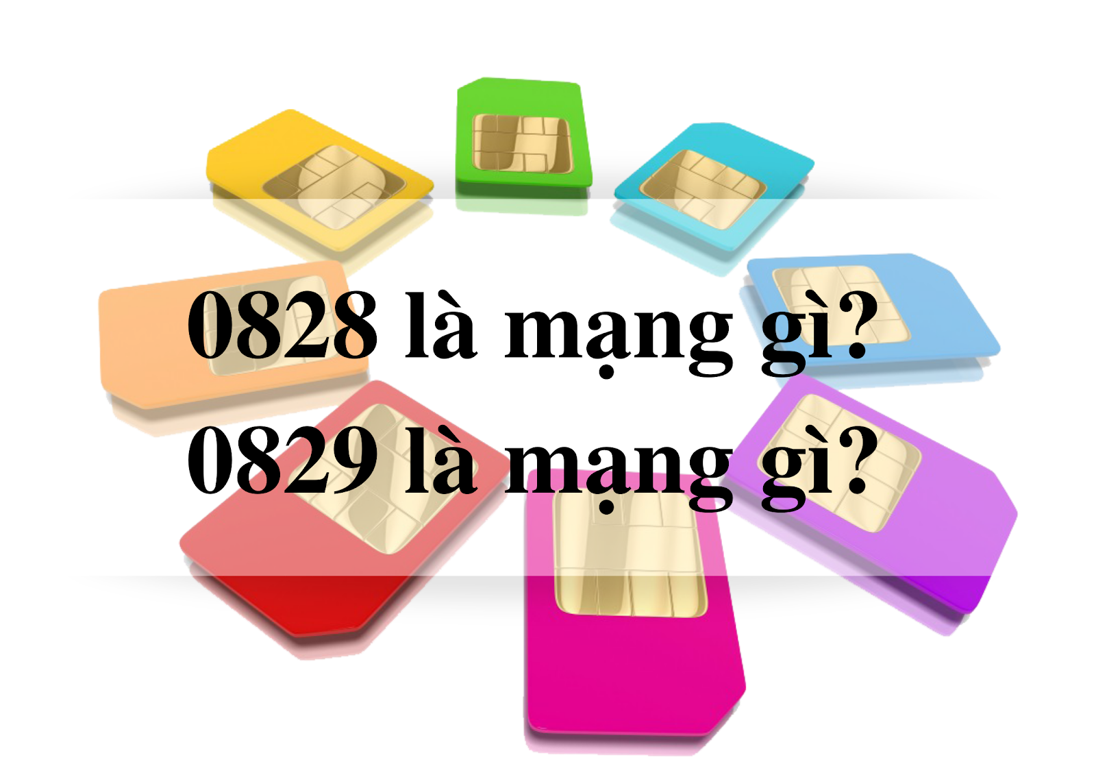 0828 là mạng gì, 0829 là mạng gì?