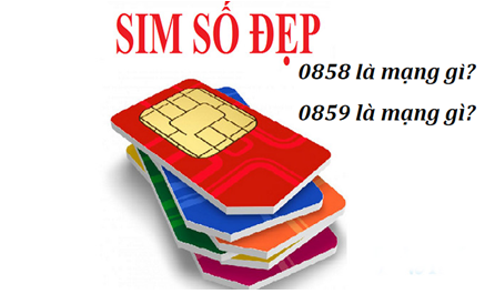 0858 là mạng gì, 0859 là mạng gì
