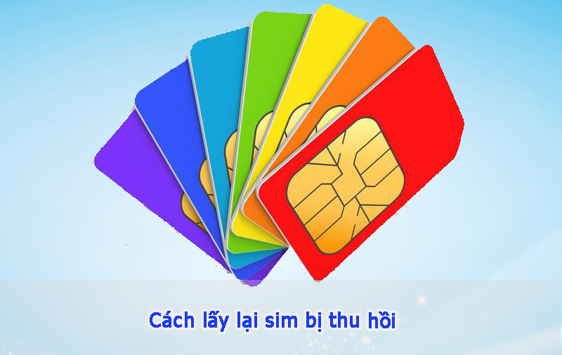 Giải đáp sim bị thu hồi có làm lại được không cách lấy lại sim bị thu hồi