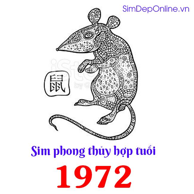 sim năm sinh 1972