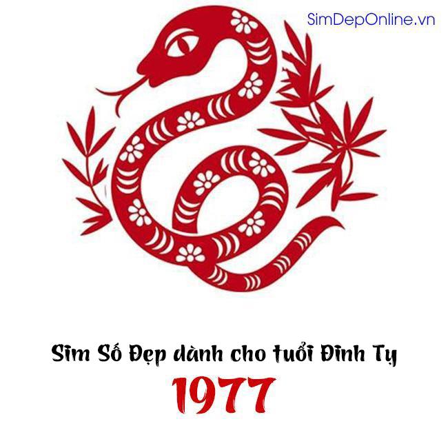sim năm sinh 1977