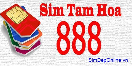 sim tam hoa 888