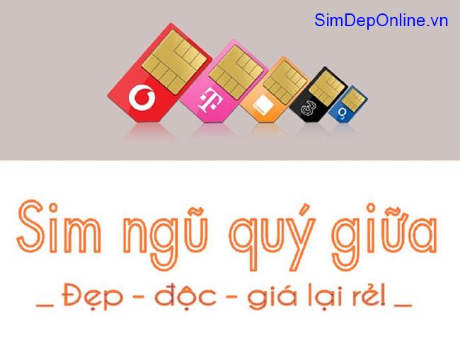 sim ngũ quý giữa