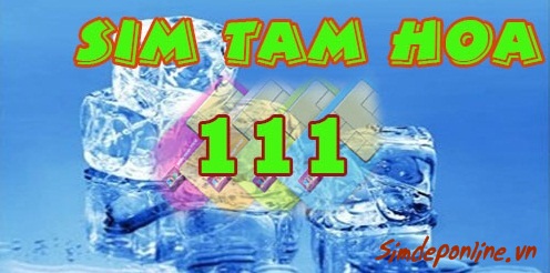 sim tam hoa 111