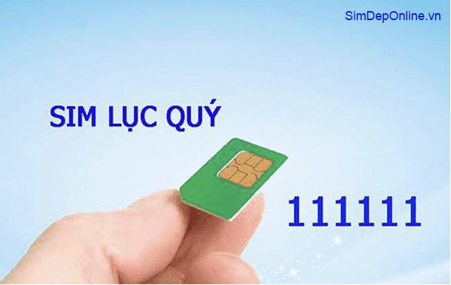 sim lục quý 1