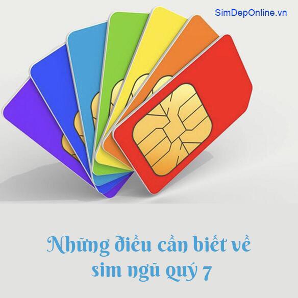 sim ngũ quý 7