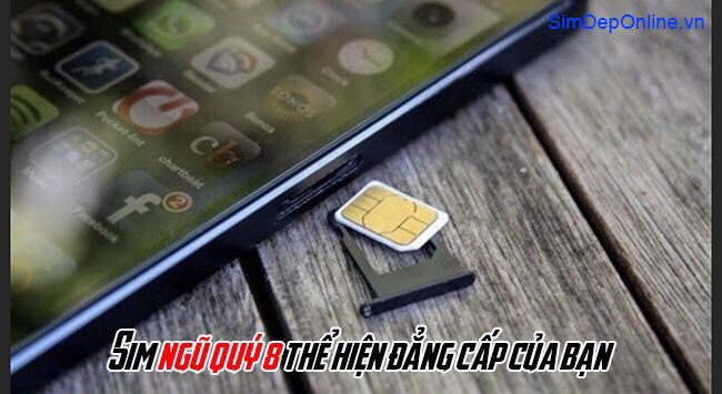 sim ngũ quý 8