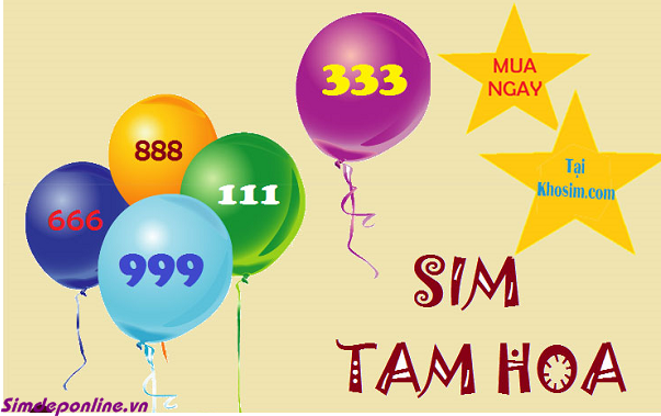 Sim tam hoa kép