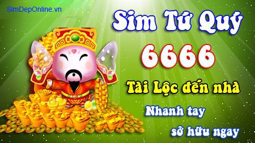 sim tứ quý 6