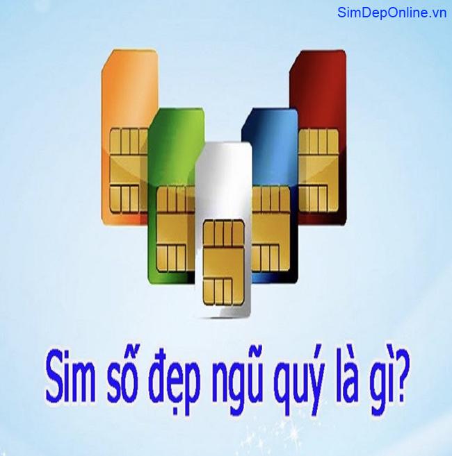 sim ngũ quý