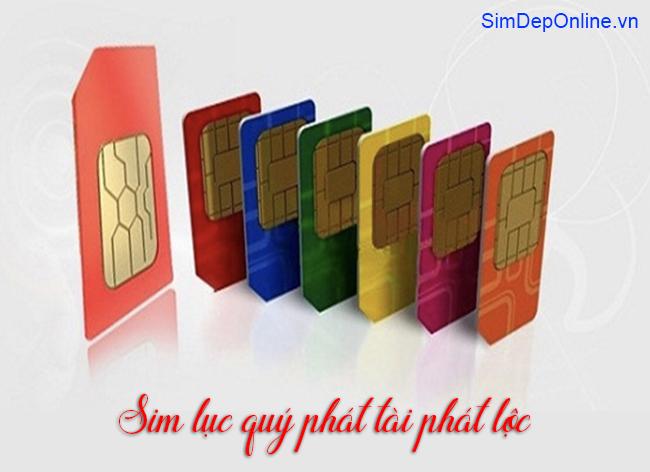 sim lục quý
