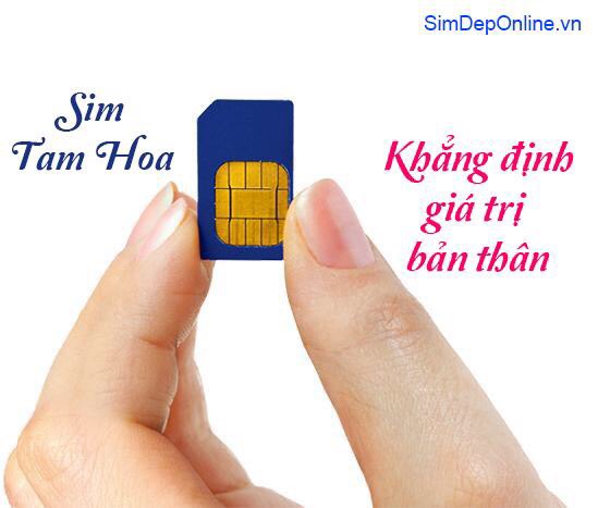 sim tam hoa sim tam hoa